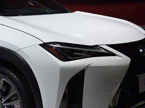 2019�� 200 F SPORT��