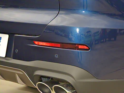 2021�� ������ 290TGDI �Զ�����