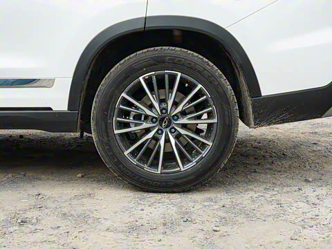 2024�� �ھ��� 290T ������ҫ�� 5��