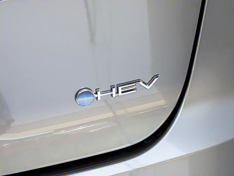 2024�� 2.5L ������