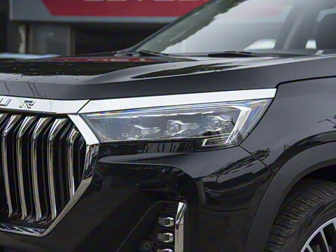 2023�� ���� 2.0T DCT��ʤ�� 7��