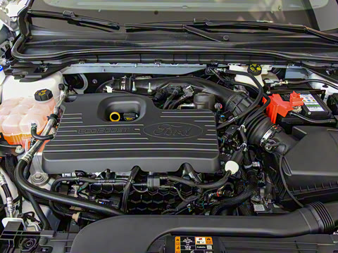 2022�� EcoBoost 245 �˶���