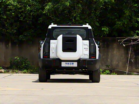 2025�� 2.0TD DCT XWD��Խ