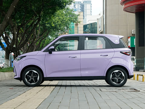 2026�� Mate 305km ����̤�˰�