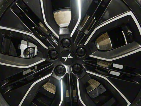 2025�� 725 �������� Max