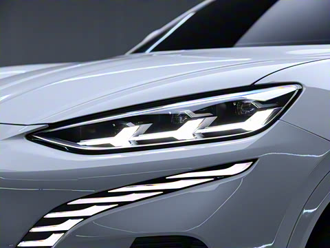 2023�� ����������Max��