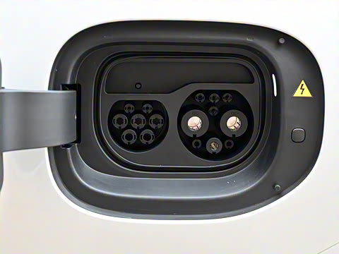 2025�� ��������������