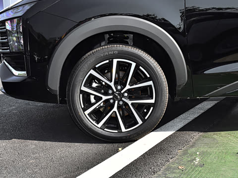 2024�� ���˰� 5��