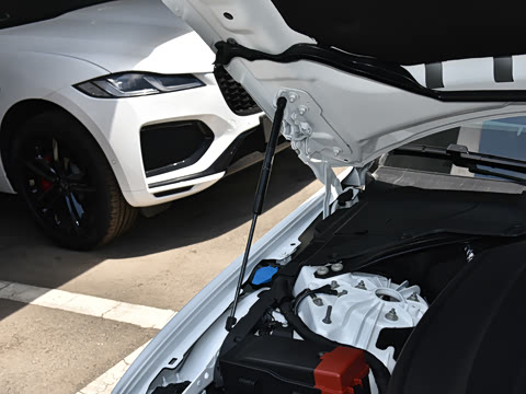 2025�� 2.0T 250PS R-DYNAMIC 90�����ذ�