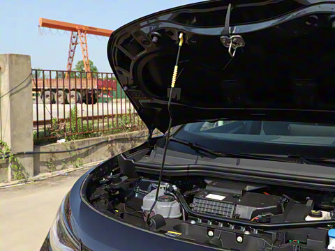 2025�� ������������ʿPRO��