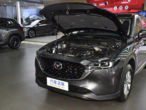 2025�� 2.0L �Զ�����������