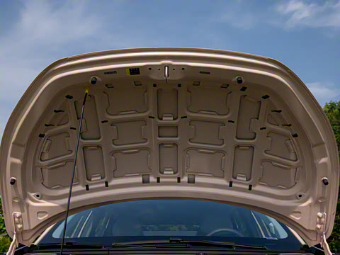 2025�� 502 ������ Max