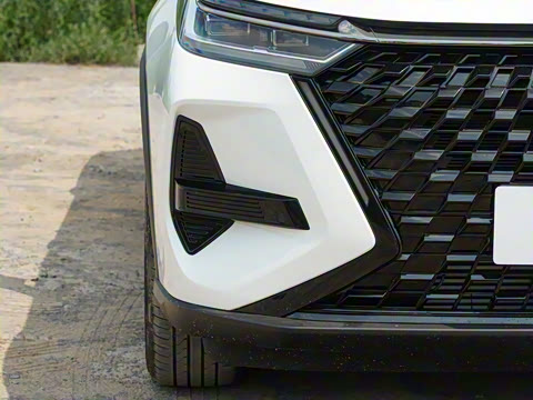 2024�� �ھ��� 290T ������ҫ�� 5��