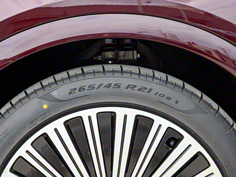 2025�� ���� Max�� 52kWh 6����