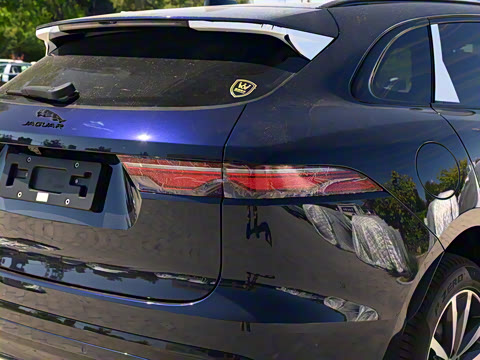 2024�� P250 R-Dynamic SE