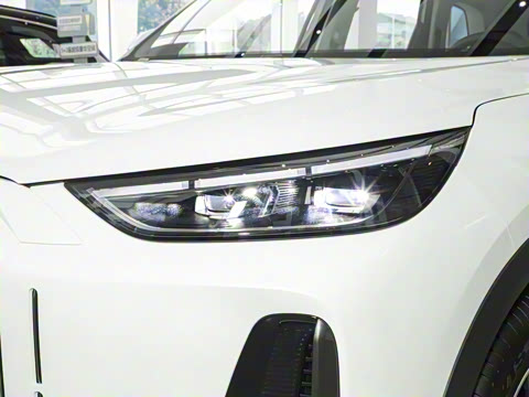 2025�� 120 ������������� 5�� �������