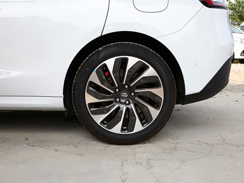 2022�� �������������