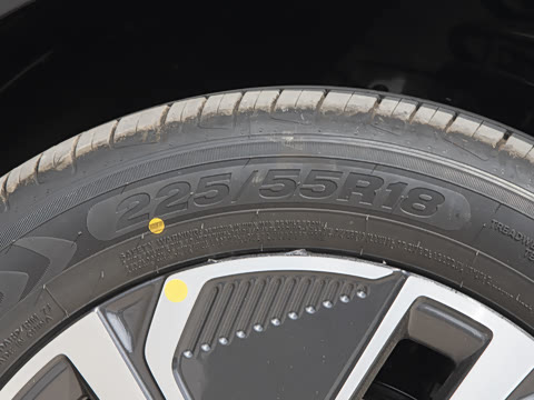 2025�� 55km ������