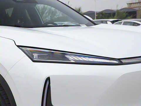 2025�� 205��������������