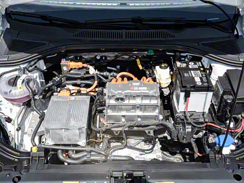 2019�� ������