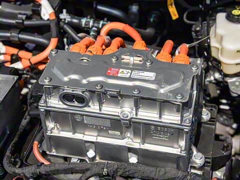 2019�� ������