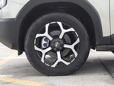 2025�� 226km ��Խ