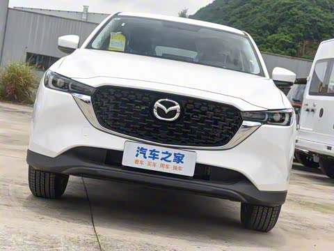 2025�� 2.0L �Զ�����������