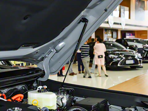 2024�� OVERTRAIL Զ���