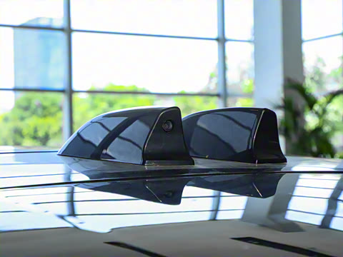 2025�� 4.4 V8 SV Edition Two