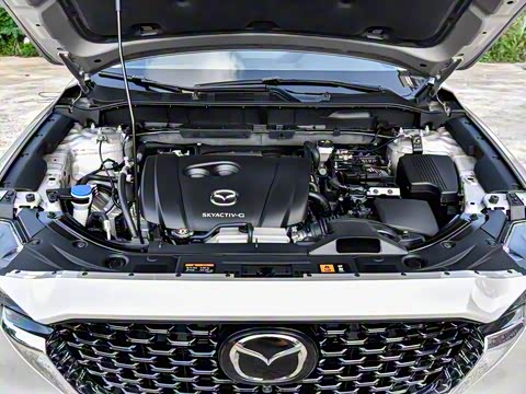 2025�� 2.0L �Զ���������Pro