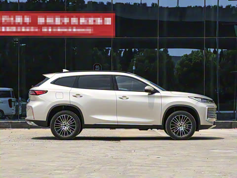 2025�� 300T ������ҹ��