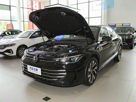 2025�� Pro 300TSI ��ҫ��