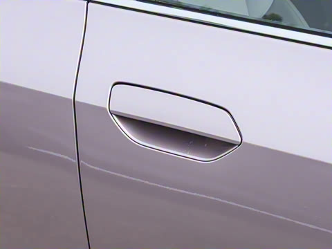 2025�� 445km ���ð�