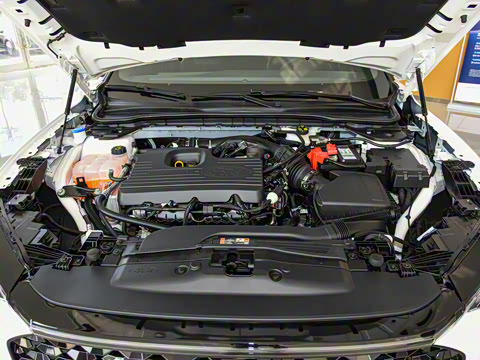 2022�� EcoBoost 245 �˶���