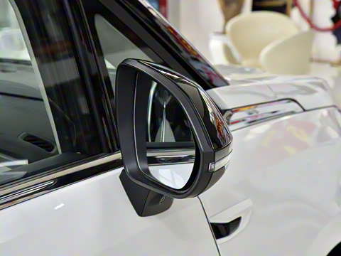 2024�� �Ŀ� ���� ��������ɭ�ְ� ����