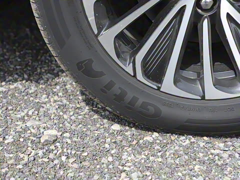 2025�� ½�� ������ 7��