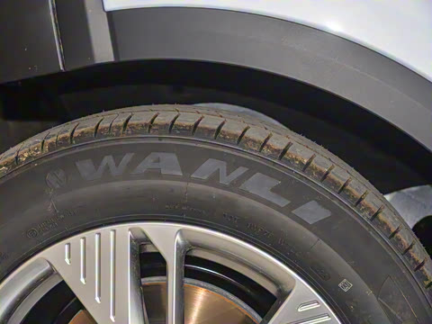 2025�� 565km ������