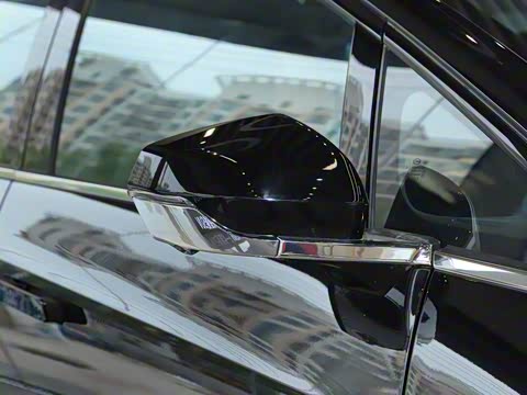 2020�� 80 �����Ƽ���