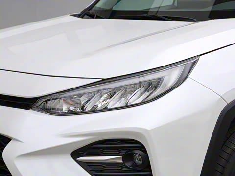 2020�� ˫�� 2.5L E-CVT�������Ȱ�