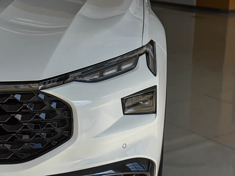 2022�� EcoBoost 245 �˶���