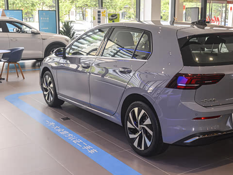 2025�� �Ŀ� 300TSI Pro