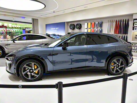 2025�� ��������������