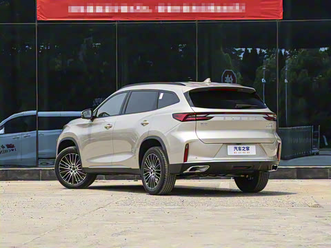 2025�� 300T ������ҹ��