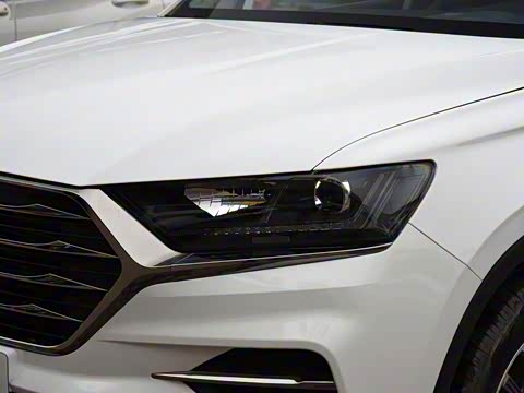 2019�� 1.5T �Զ���UP ��VI