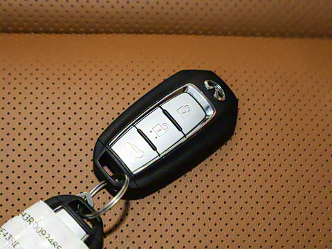 2024�� 2.0T ����������