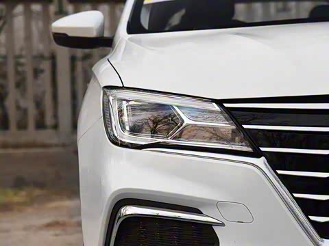 2019�� ���������