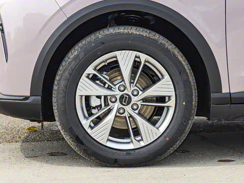 2025�� 445km ���ð�