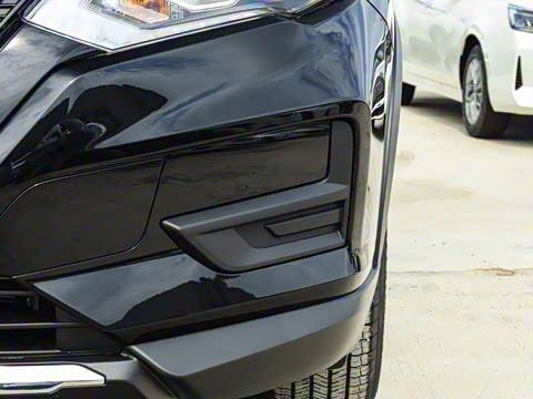 2025�� ���� 2.0L �������Ȱ�