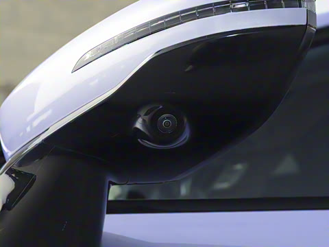 2025�� ���� 565����Max�캽��