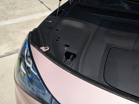 2026�� �鶯������